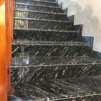 ĐÁ GRANITE ĐEN RỪNG