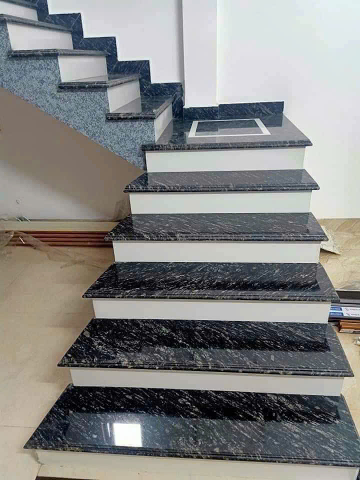 ĐÁ GRANITE ĐEN RỪNG - Ảnh 3